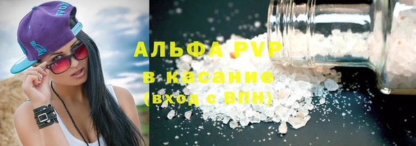 стаф Алексин