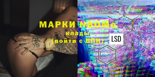 стаф Алексин