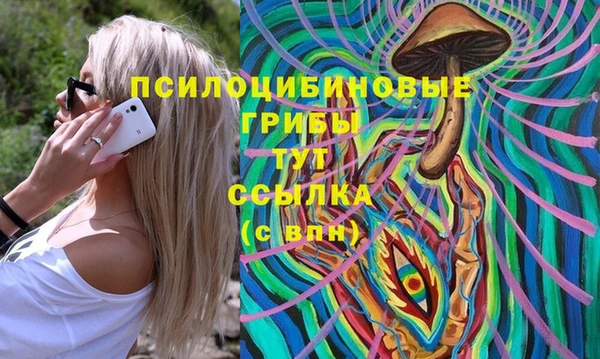 гидропоника Алзамай