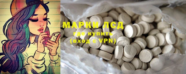 гидропоника Алзамай