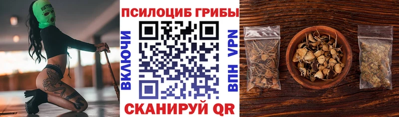 Псилоцибиновые грибы мицелий купить цена Владивосток